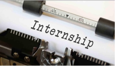 virtual online remote digital marketing internship