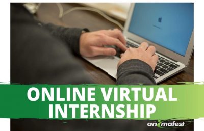 Online virtual internship for students