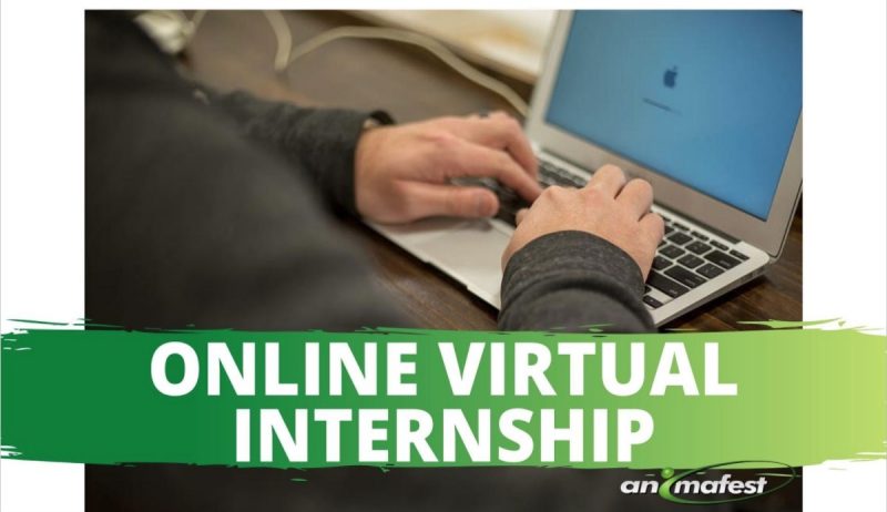 Online virtual internship for students