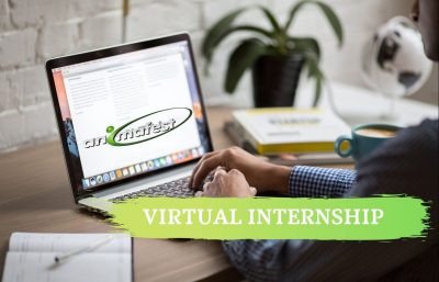 virtual internship online