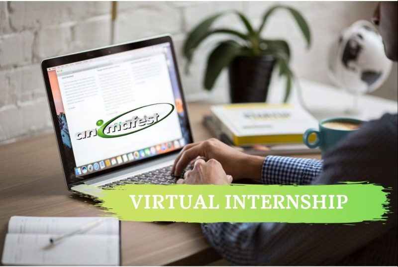 virtual internship online