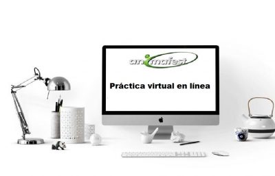 Práctica en línea virtual