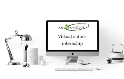 Virtuelles Online-Praktikum Animafest