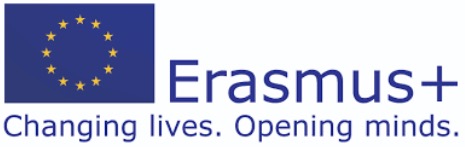 erasmus chance for internship