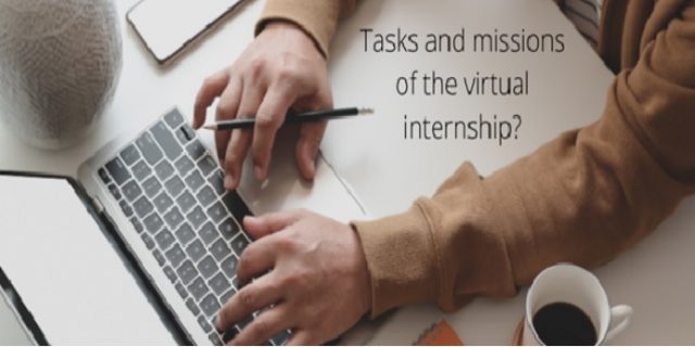 tasks and missions of online virtual internship