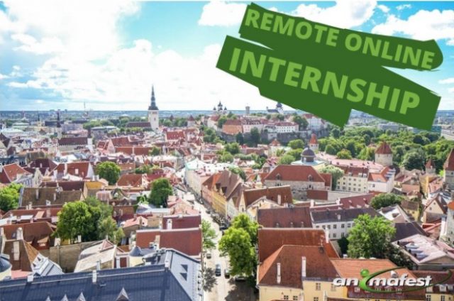 remote online internsip estonia