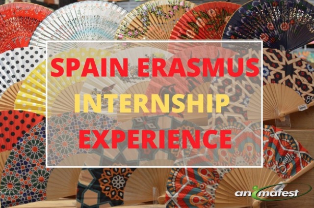 Spain erasmus internship experience