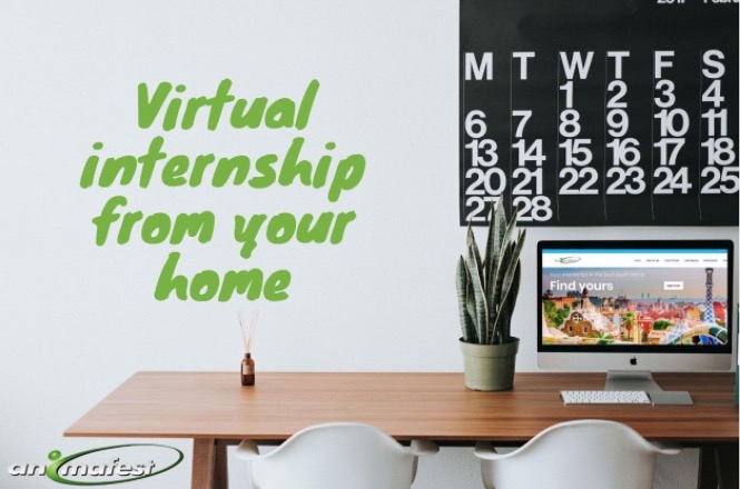 virtual online internship from your phone