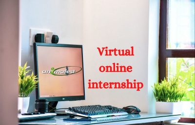 virtual online internship with animafest