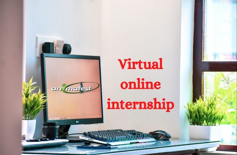 virtual online internship with animafest