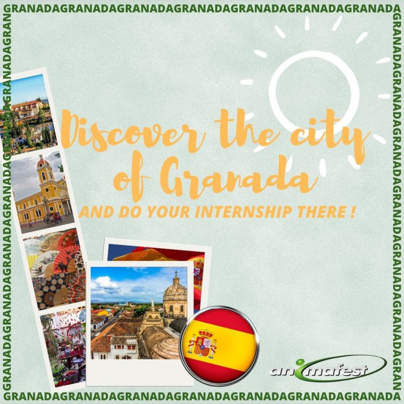 internship in spain in city of granada poster