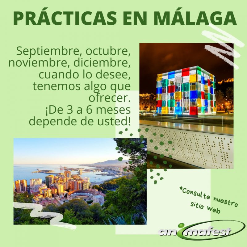 Práctica profesional en Malaga España