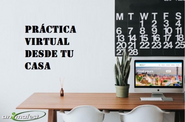 Práctica virtual desde tu casa