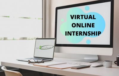 virtual online internship with animafest