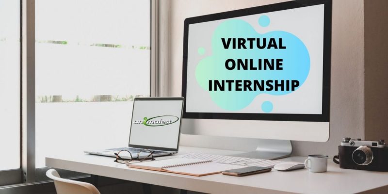 virtual online internship with animafest