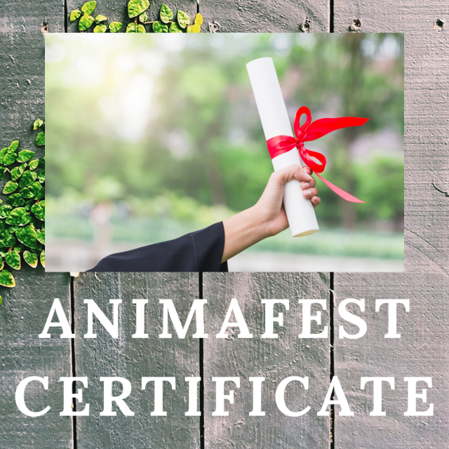 Animafest certificate