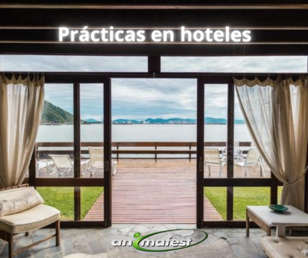 Prácticas en Hoteles