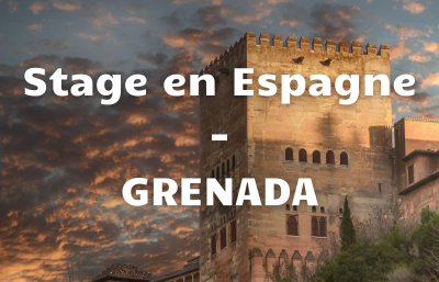 Stage Erasmus rémunéré en Espagne - Grenade 2020