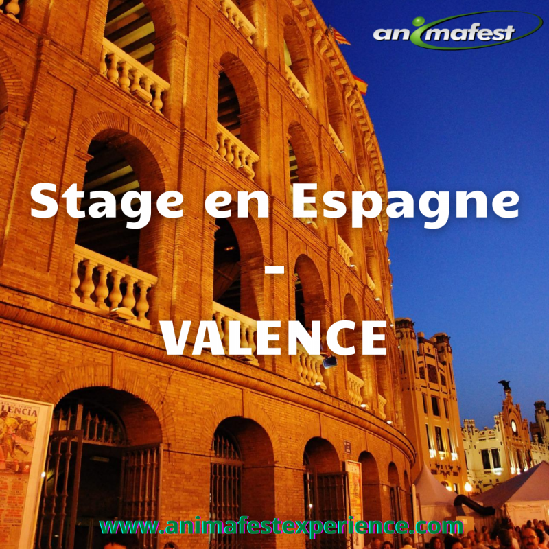 Stage Erasmus en Espagne : Valence 2021