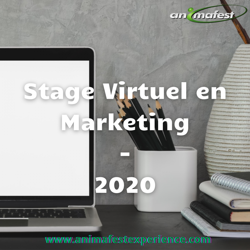 Stage virtuel en Marketing pour les étudiants belges 2020