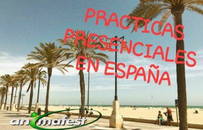 Prácticas profesionales en españa