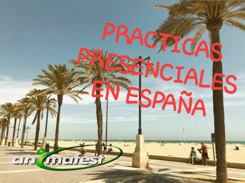 Prácticas profesionales en españa