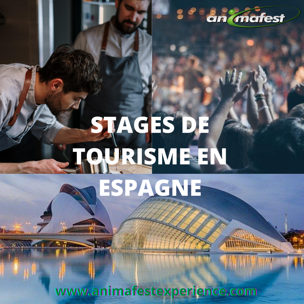 Stage International De Tourisme En Espagne 2021