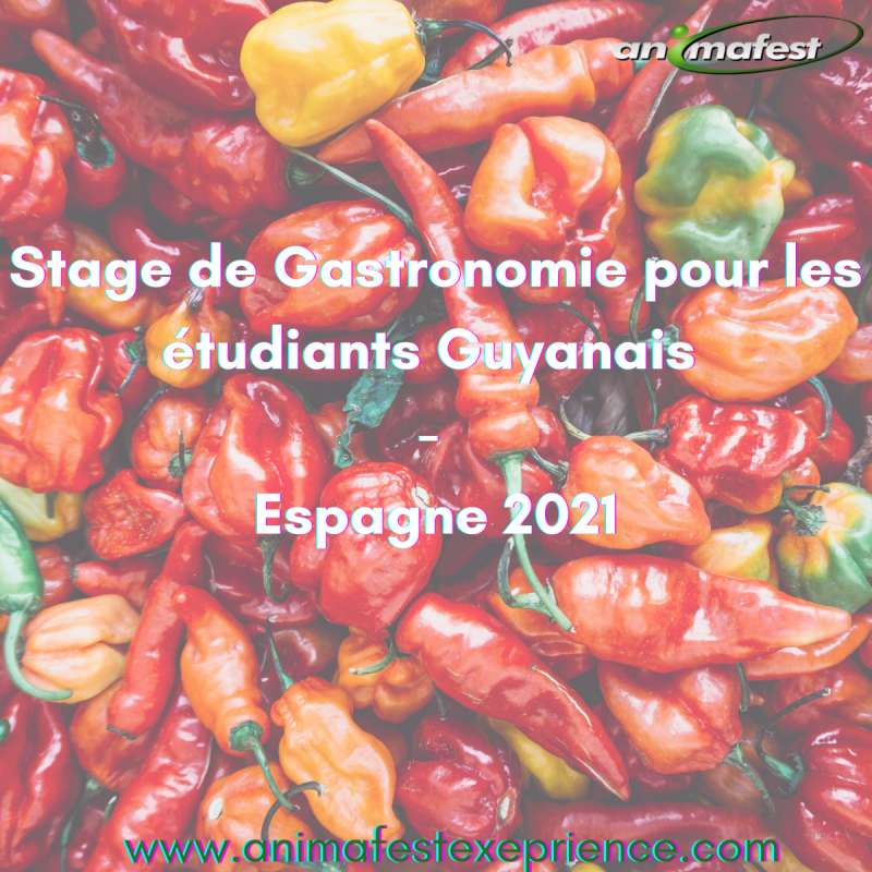 Stage de Gastronomie pour étudiants Guyanais - Espagne 2021