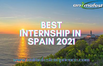 Internship in Spain 2021