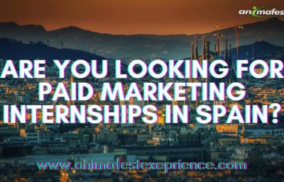 are you looking for paid marketing internships in Spain?