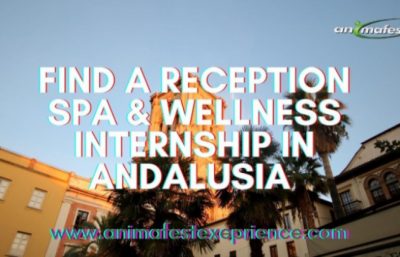 Internship in Spain, reception SPA & Wellnes internship in Andalusia, Spain