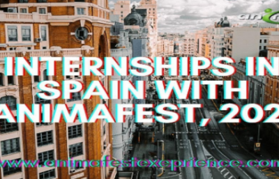 INTERNSHIPS IN SPAIN WITH ANIMAFEST, 2021