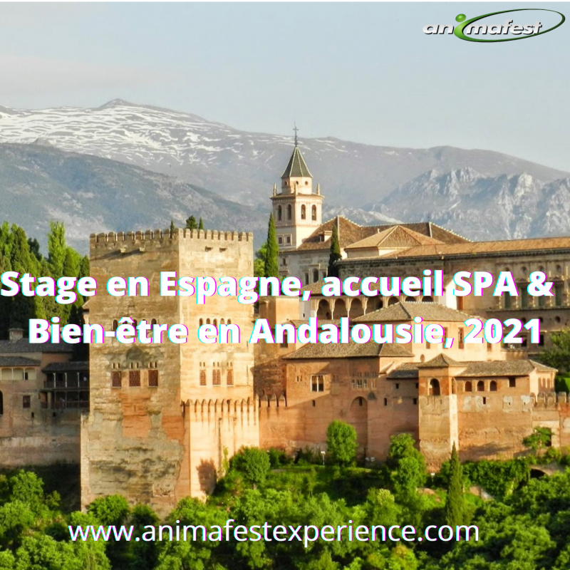 Stage en Espagne, accueil SPA & Bien-être en Andalousie, 2021