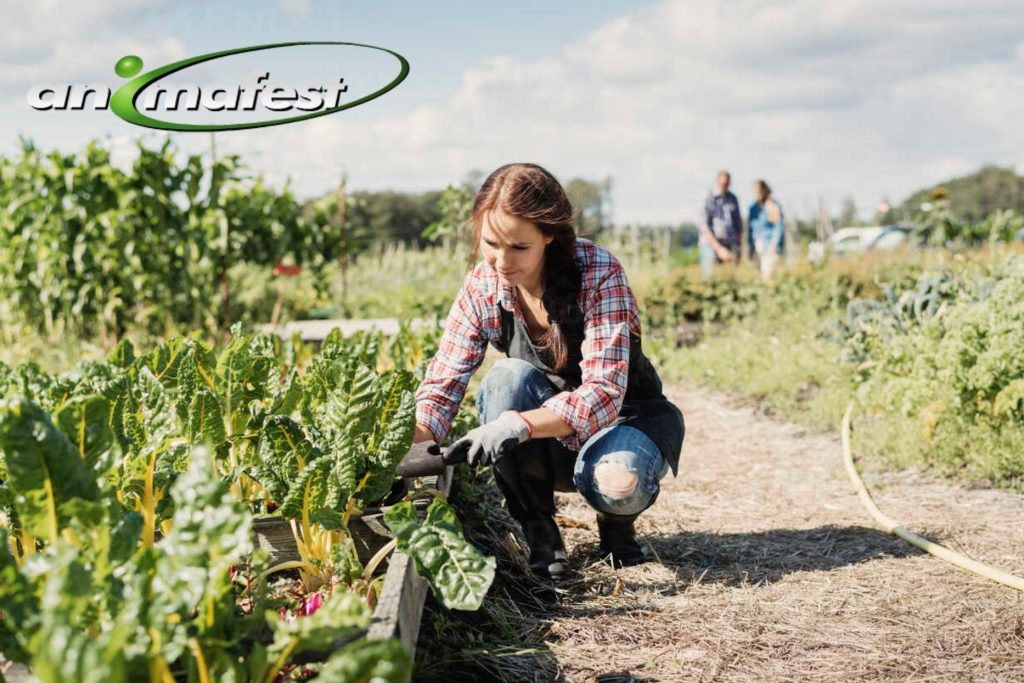 Internships in gardening at campsites in Spain. 2021