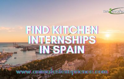 FIND KITCHEN INTERNSHIP IN SPAIN, 2021