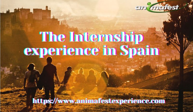 The Internship experience in Spain