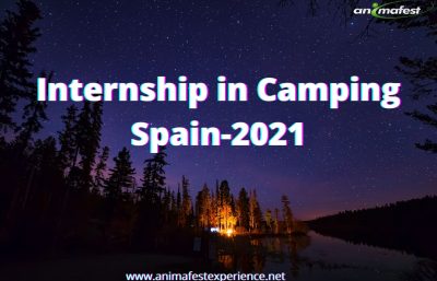 Internship in Camping Spain-2021