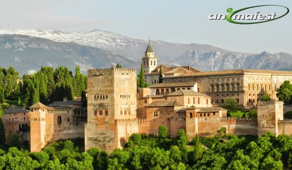 Stage en Espagne. Stage d'accueil, SPA & Wellnes en Andalousie, Espagne 2021 1