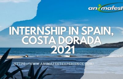 INTERNSHIP IN SPAIN, COSTA DORADA 2021