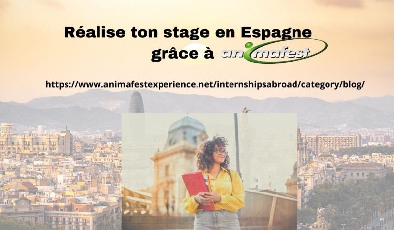 Réalise ton stage avec Animafest