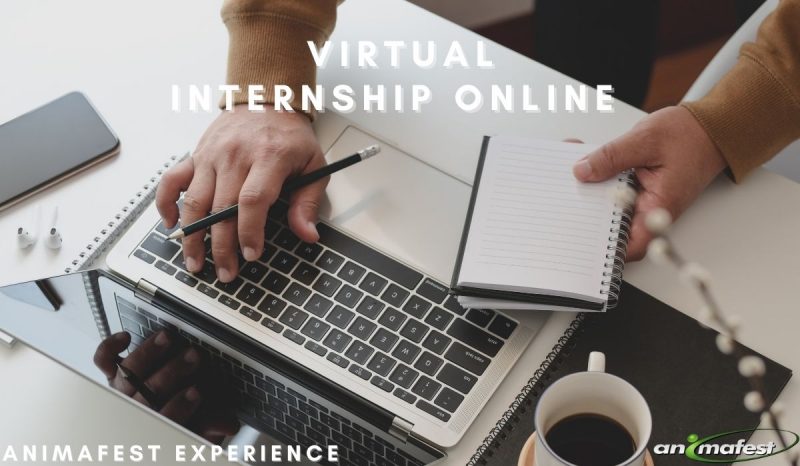 virtual internship online