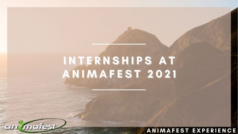 Internships at animafest 2021