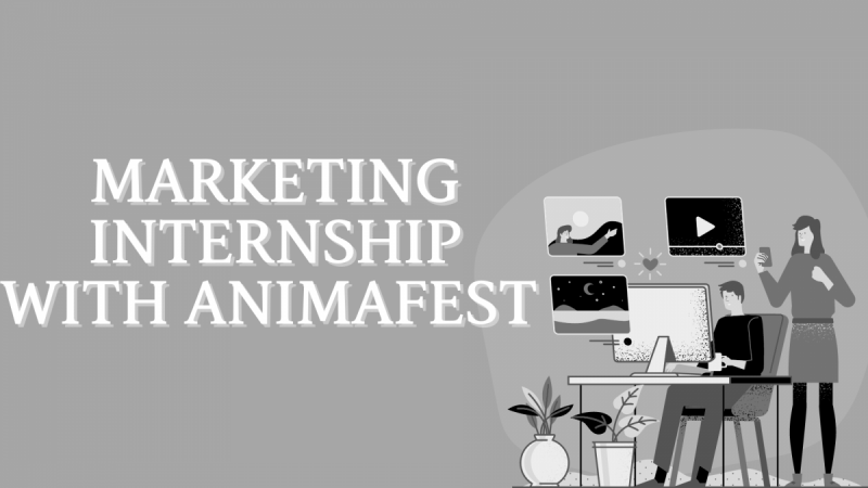 Marketing internship with Animafest