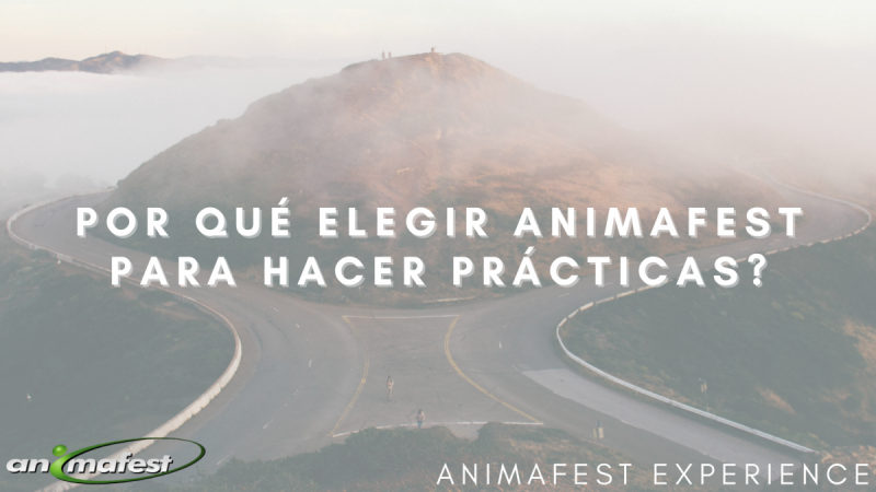 Por qué elegir Animafest para hacer prácticas?