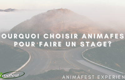 Pourquoi choisir Animafest pour faire un stage?