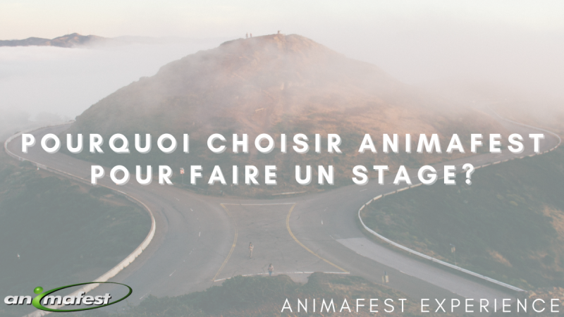 Pourquoi choisir Animafest pour faire un stage?