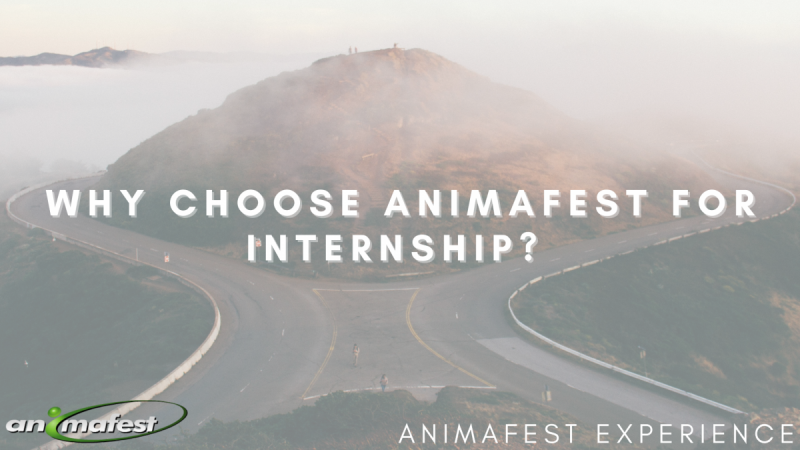 Why choose animafest for internship?