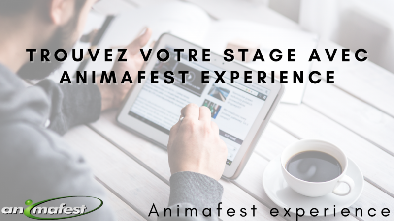 Trouvez votre stage avec Animafest 2021