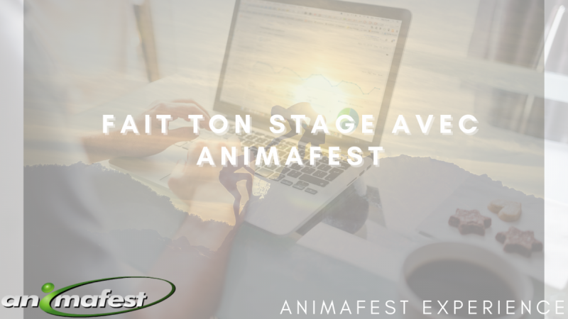 Fait ton stage avec Animafest