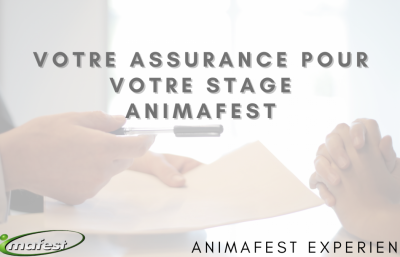 Votre assurance pour votre stage Animafest